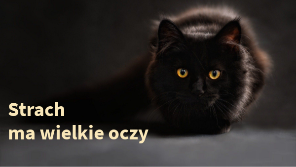 Strach ma wielkie oczy | Genially