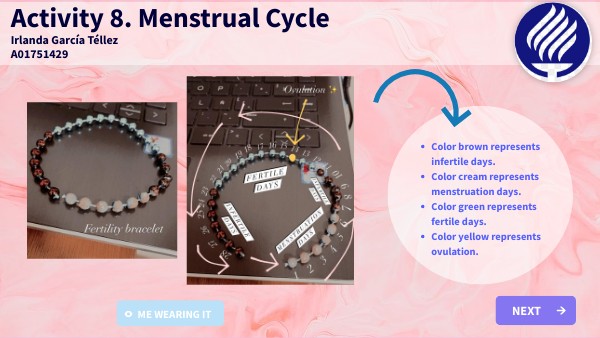 menstrual-cycle-genially