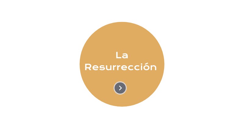 RANKING CIRCULAR
