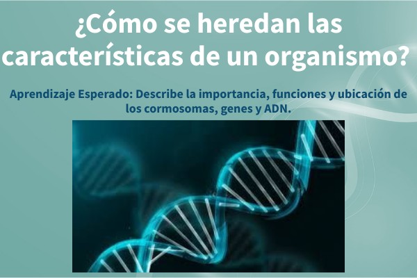 BIOLOGÍA. El ADN y la continuidad de la vida | Genially