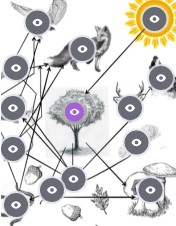 Interactive image