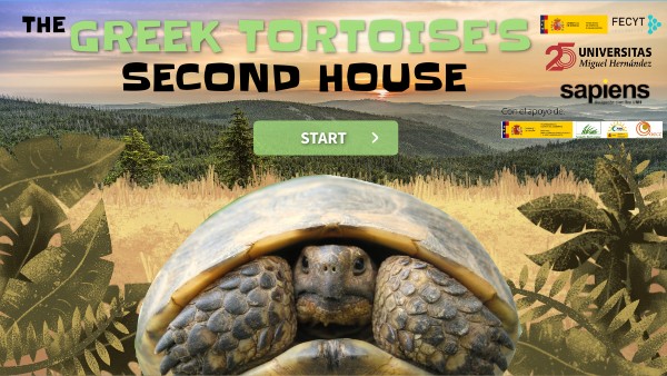 Eng - The greek tortoise's second house | Genially
