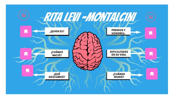 MAPA MENTAL CEREBRO | Genially
