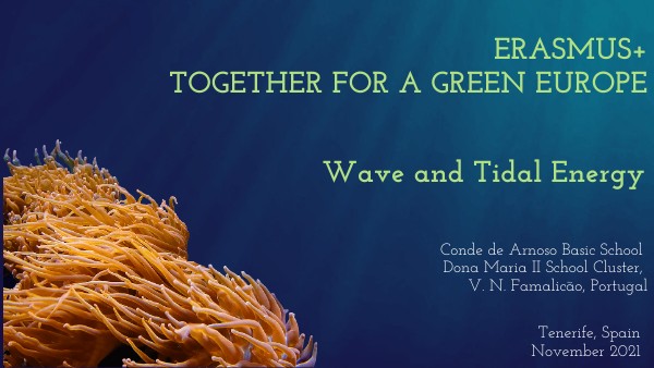 Copy - Tidal Energy