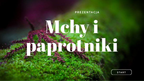 Kartkówka Mchy I Paprotniki Klasa 5 Mchy i paprotniki | Genially