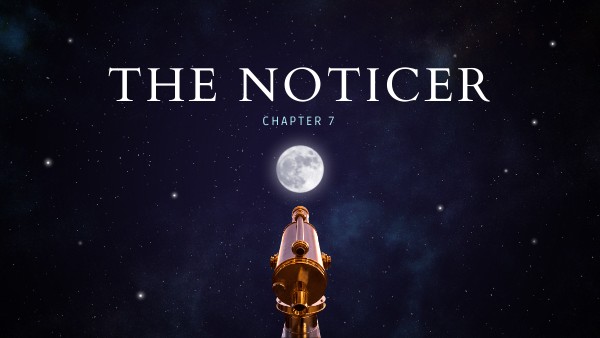The Noticer Chapter 7