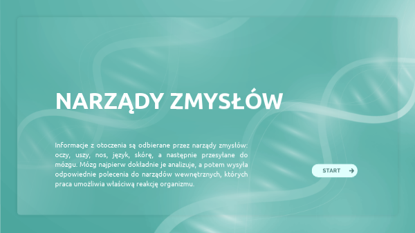 Sprawdzian Biologia Klasa 7 Narzady Zmyslow - Narządy zmysłów | Genially