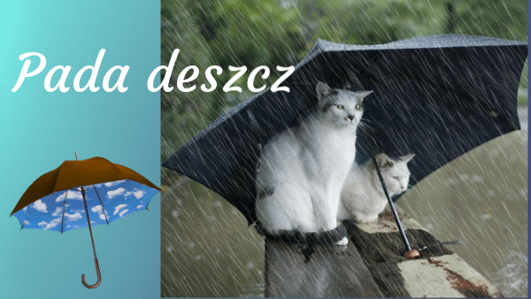 Pada deszcz II B