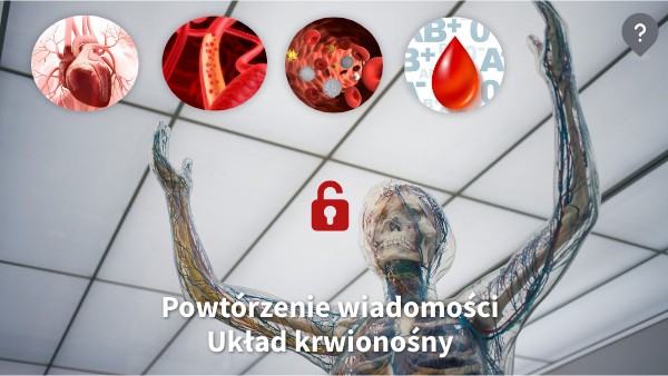 Układ krążenia i odpornościowy | Genially