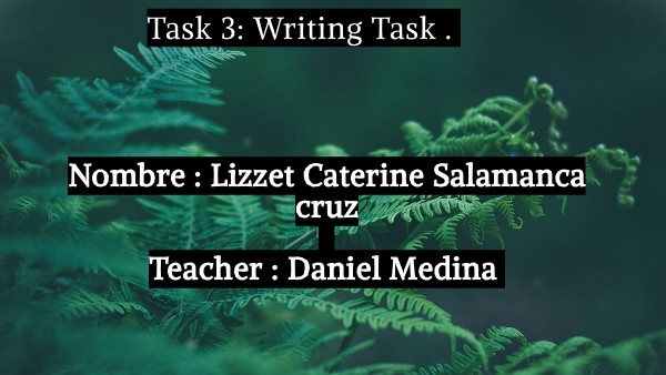 Task 3: Writing task