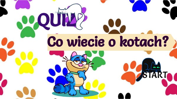 Quizy O Kotach Jakim Kotem Jesteś Quiz o kotach | Genially