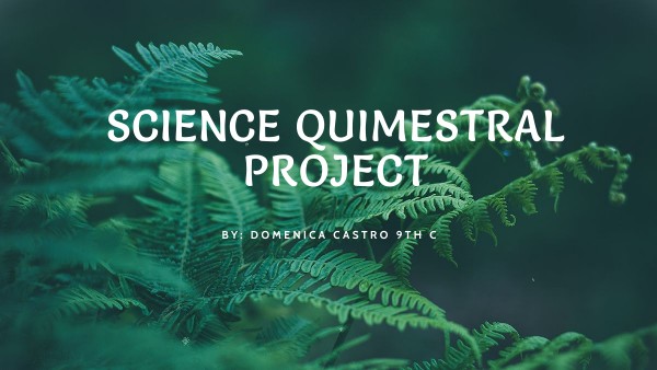 Quimestral project 2 Science | Genially