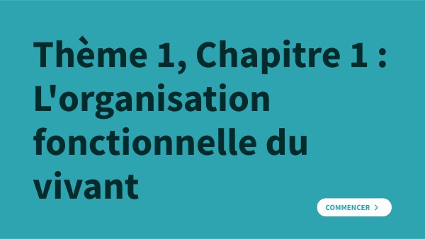 Révisions Thème 1 Chapitre 1 | Genially