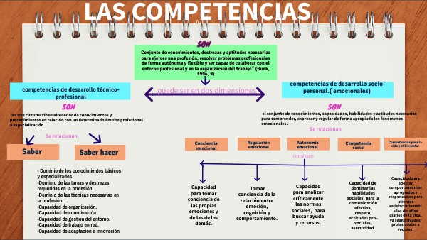 Competencia socio emocional