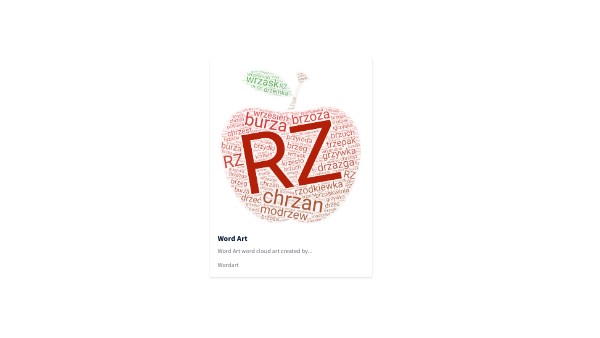 RZ Word cloud