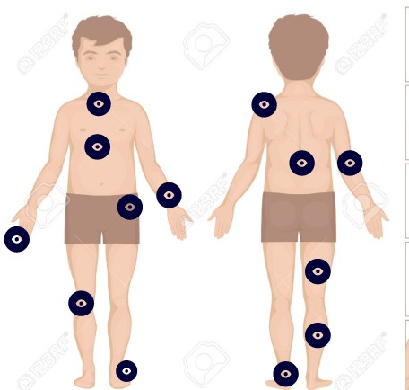 Body Parts | Genially