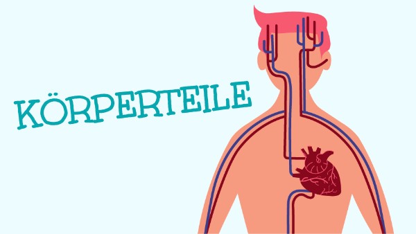 Körperteile.