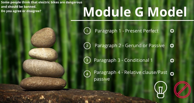 Module G Model