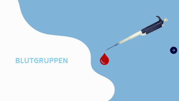 4 Blutgruppen Vier Strategien Für Ein Gesundes Leben Pdf Blutgruppen | Genially