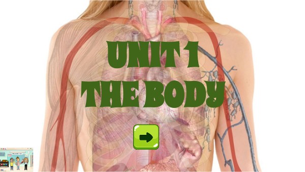 THE BODY 4º VP | Genially