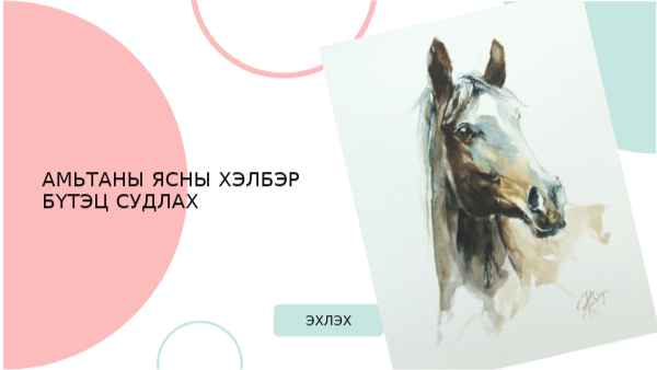 Амьтаны ясны хэлбэр бүтэцийг судлах хар зураг | Genially