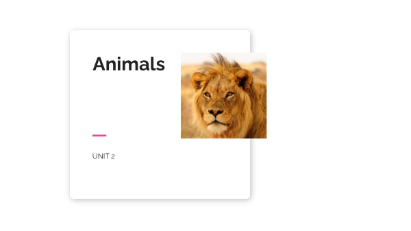 Animals | Genially
