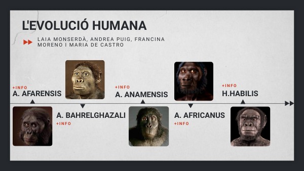 L'EVOLUCIÓ | Genially