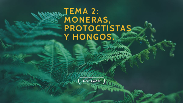 Tema 2 | Genially