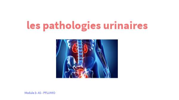 pathologies urinaires | Genially