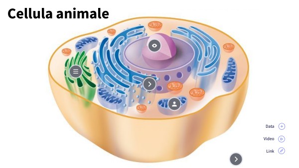 Cellula | Genially