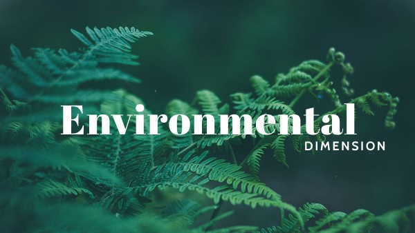 Copy - SD T9 - Environmental dimension | Genially