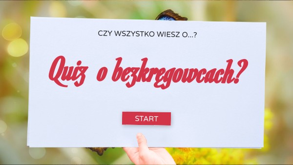 QUIZ o BEZKRĘGOWCACH