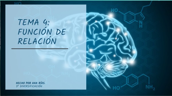 Función de Relación | Genially