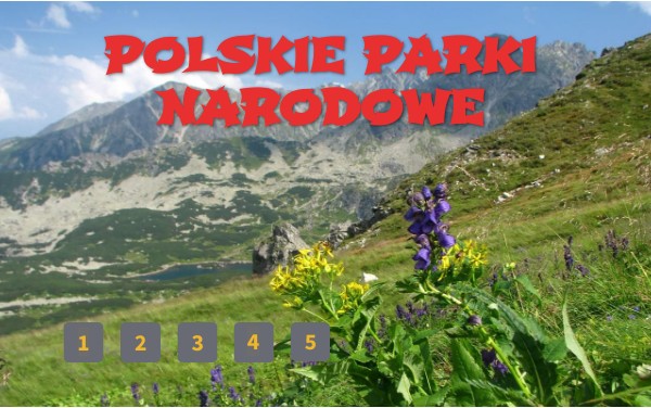 Polskie parki narodowe