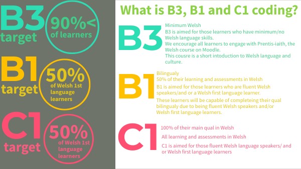 Welsh coding - Educ8