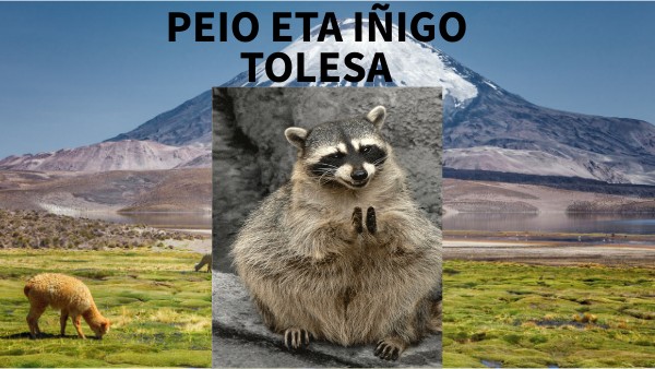 tolesa