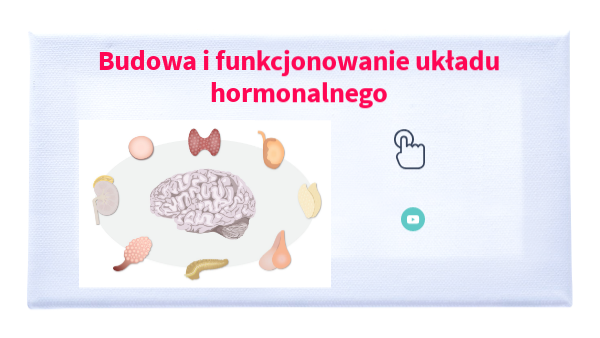 Układ Hormonalny Biologia Klasa 7 Budowa i funkcjonowanie układu hormonalnego | Genially