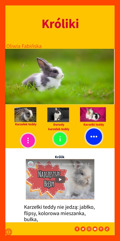 Króliki | Genially
