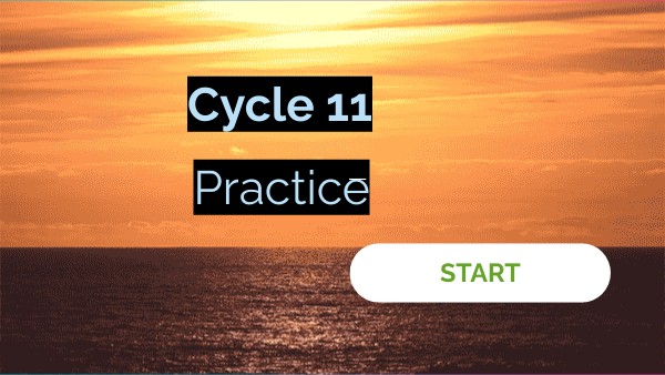 Cycle 11 Spelling | Genially