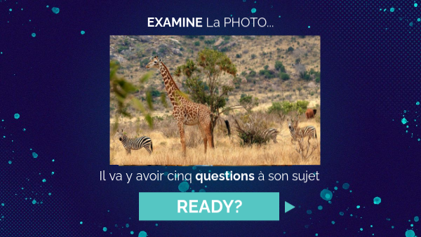 Partie attention | Genially