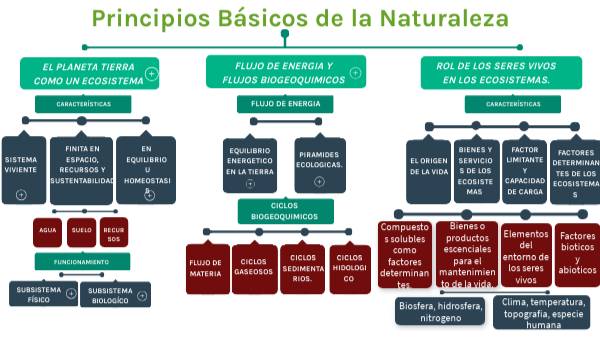 Los 8 Principios De La Naturaleza view.genially.com