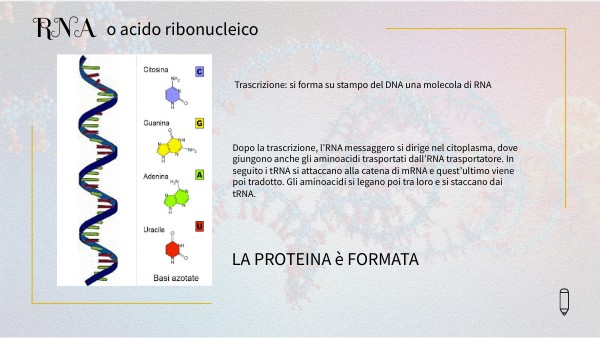 SCIENZE | Genially