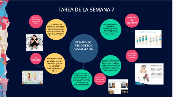 CIRCULAR MIND MAP SCHEME | Genially