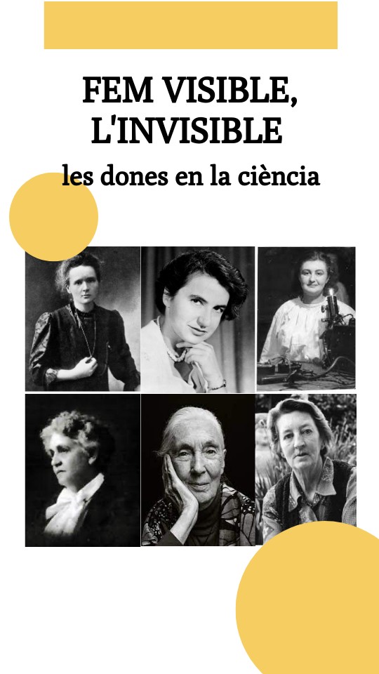 REVISTA - FEM VISIBLE, L'INVISIBLE | Genially