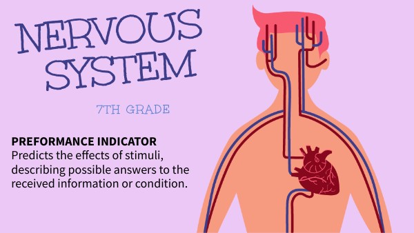 Nervous system | Genially