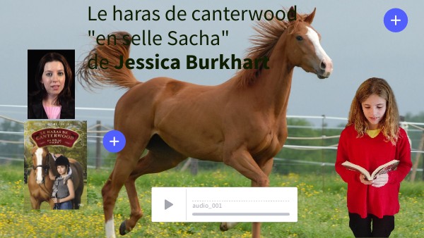 Le Haras De Canterwood Film