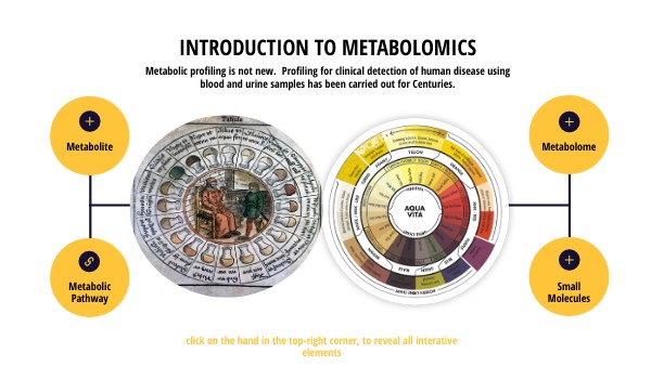 Introduction to Metabolomics