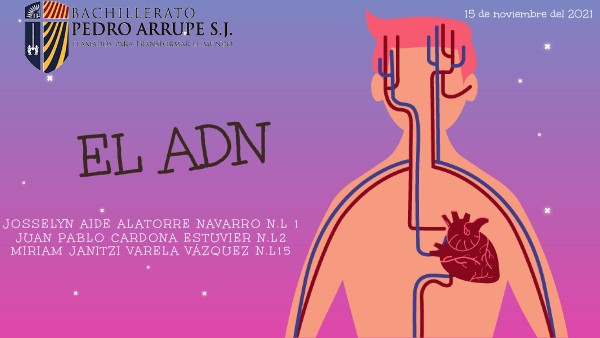 EL ADN | Genially