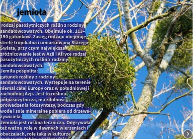 jemioła | Genially