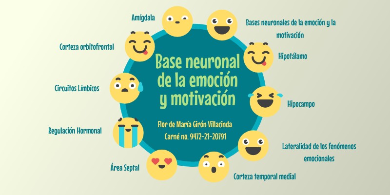 Bases neuronales | Genially